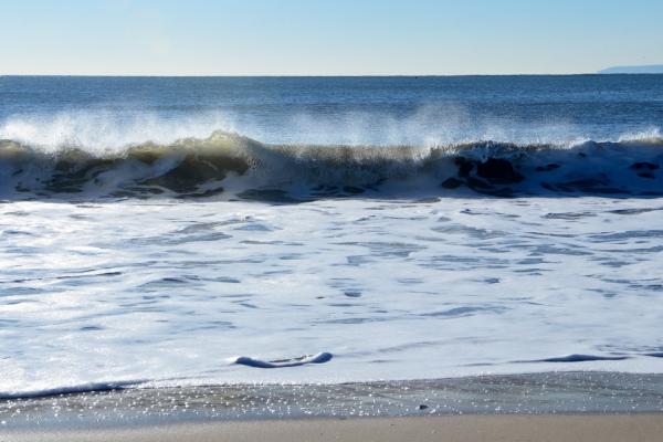 TheSeaParty's tweet photo. White House urged to ban Atlantic Ocean seismic activity. https://t.co/4xePXSvdRP https://t.co/1waIOjc839