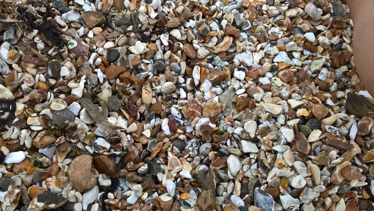 pompey4ever007's tweet photo. @ChrisMoyles @Pipskin @domisatwit @Masterman I got bored at Stokes Bay! Tweet when you see Chris! https://t.co/rizo51H6Gn