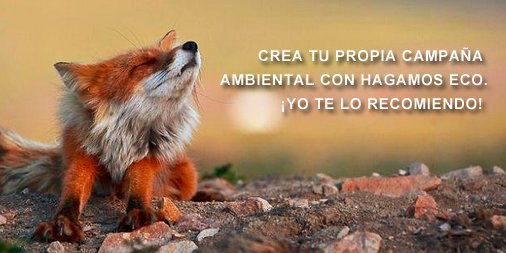 GreenpeaceCL's tweet photo. TU TIENES EL PODER de cambiar la realidad! Crea una campaña en https://t.co/zXxEE3fxVk y comprúebalo! https://t.co/m51axHIduG