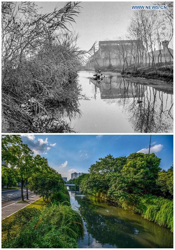 ChinaDaily's tweet photo. Photos taken in 1980 (Upper) and in 2016 show development in Xixi River in #Hangzhou, capital city of Zhejiang #G20 https://t.co/BqIdkZArto