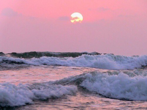 aquaticsenses tweet picture
