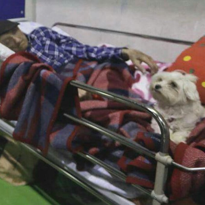 Prikaži sliku na Twitteru