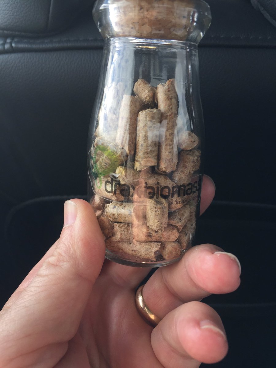 timechols's tweet photo. Forestry is probably the most sustainable thing going in our state. And did I mention that trees eat CO2. #2016GEC https://t.co/RrHZXgB9Gs