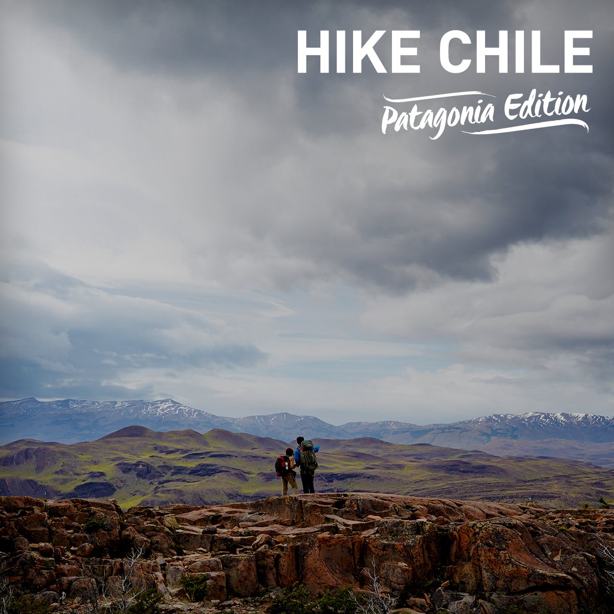 ActiveJunky.com tweet media