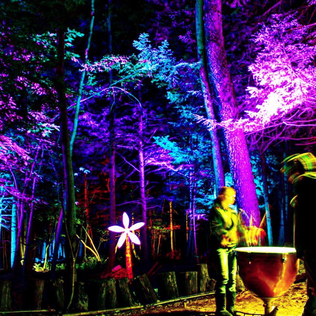 Come join us for a dance party in the woods this Saturday 5:30pm in the Drum Circle at <a href="/nightlightsfest/">Night Lights Fest</a> #booyahhh