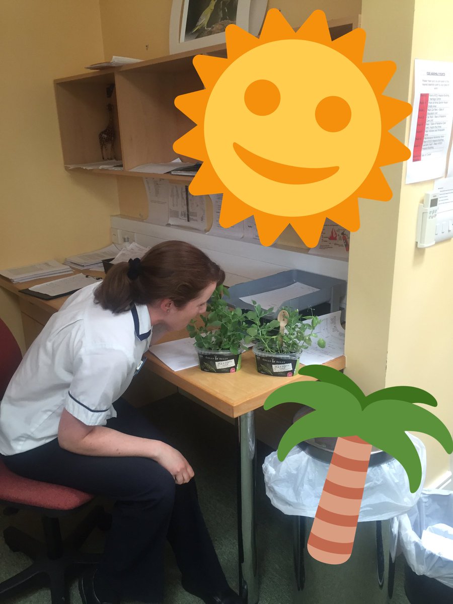 katiehayes77's tweet photo. Whispering sweet nothings to our peas @cullyandsully #givepeasachance #pod78 https://t.co/s9MyfZQd5U