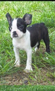 FreeBigRuby's tweet image. How many of you have ever felt personally victimized by Special Session? #FreeBigRuby #MeanGirls