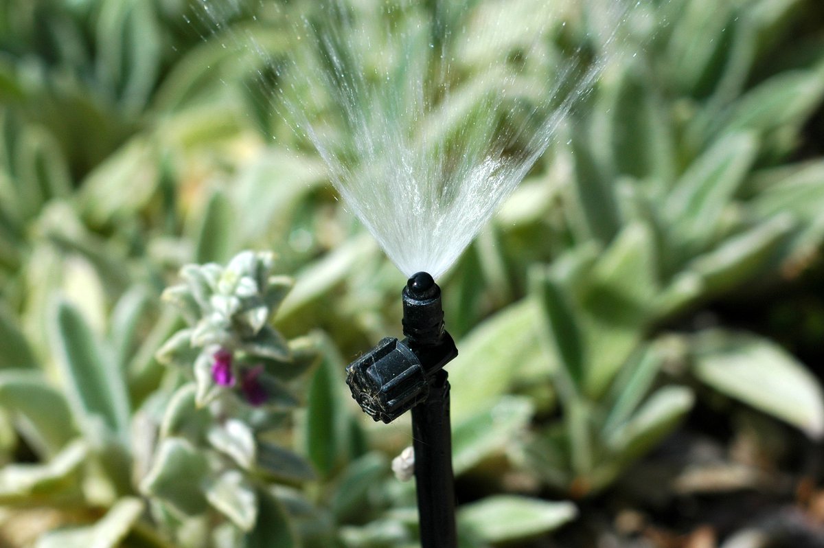 SaveWaterSB's tweet photo. The #WateringAdjust% is 76% this week. Learn how to increase your #irrigation efficiency: https://t.co/YEGro1Lkcj https://t.co/RvjFkqL2Ok