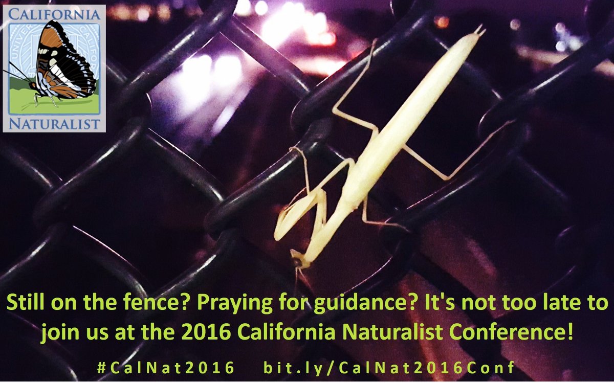 ucanr's tweet photo. We're still taking registrations for #CalNat2016. Get off the fence. Register now. https://t.co/Z6QbqVl5Ry https://t.co/j43RExcCQ9