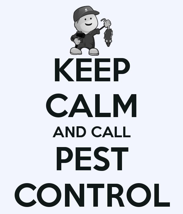 VV_PestControl's tweet image. Remember to #KeepCalm! #DontPanic #CallUs #PestControlServices #PestControl