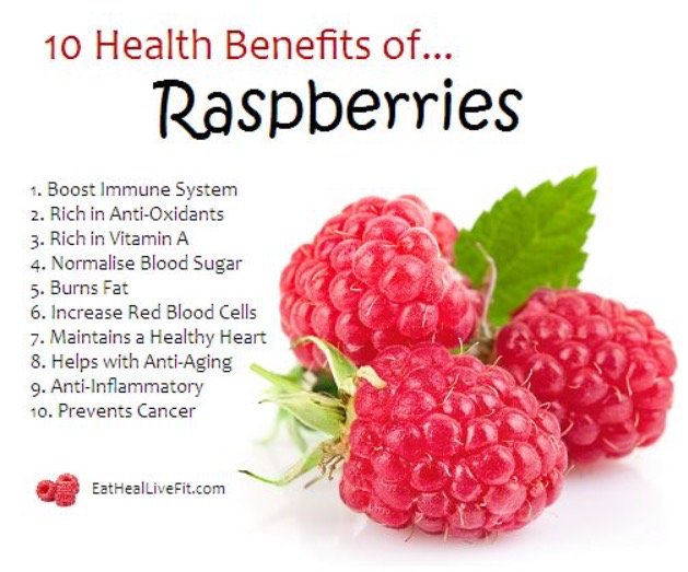 CopelandDistill's tweet photo. Just a few reasons why raspberries are good for you! #RaspberryandMint #ginfusions #supportlocalfarmers https://t.co/6XiQ3VX6KE