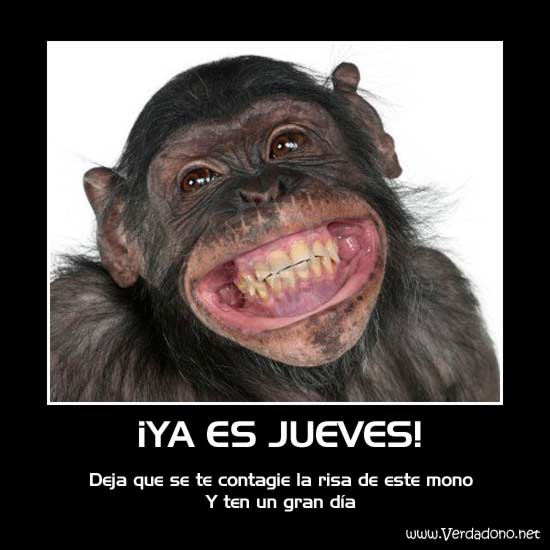 Jr_Wtechnology1's tweet image. FELIZ JUEVES