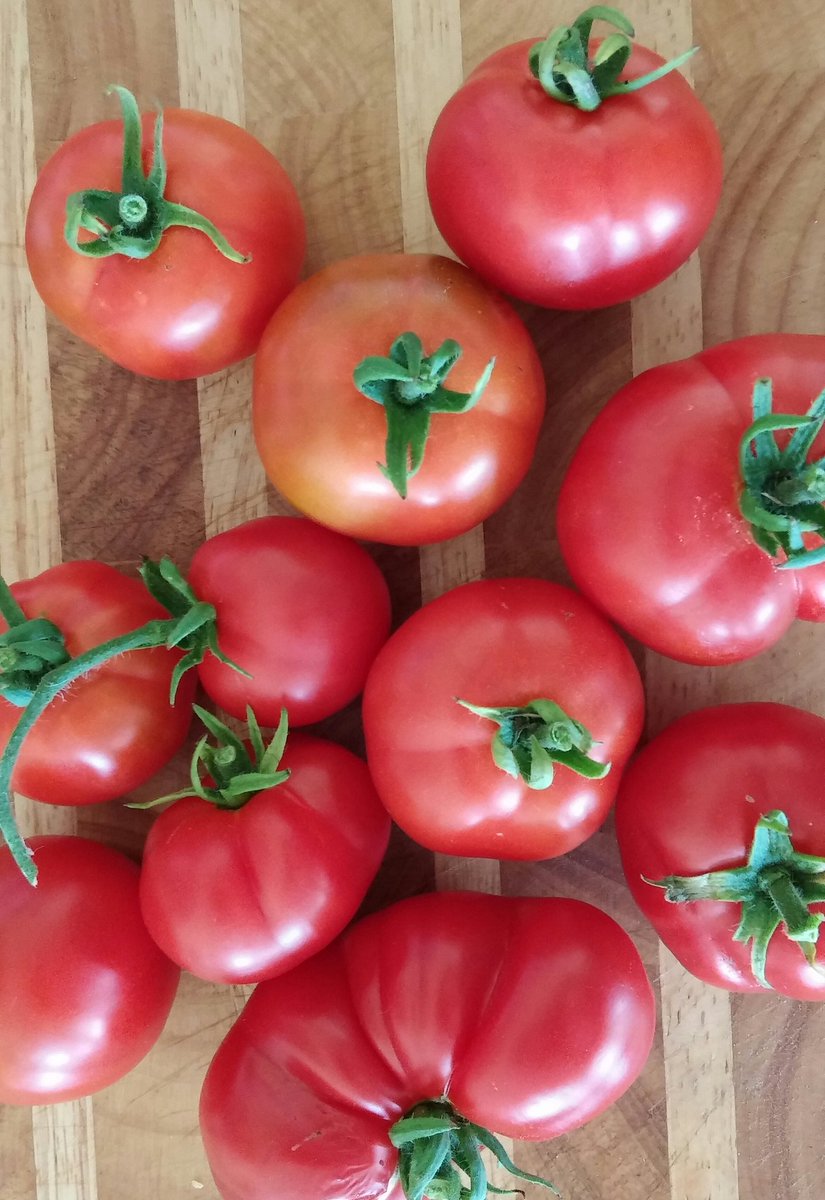 rich_sherri's tweet photo. The fruit of our labours. #forbiddenfoods. #CrohnsDisease #fml https://t.co/1UiconT5CC