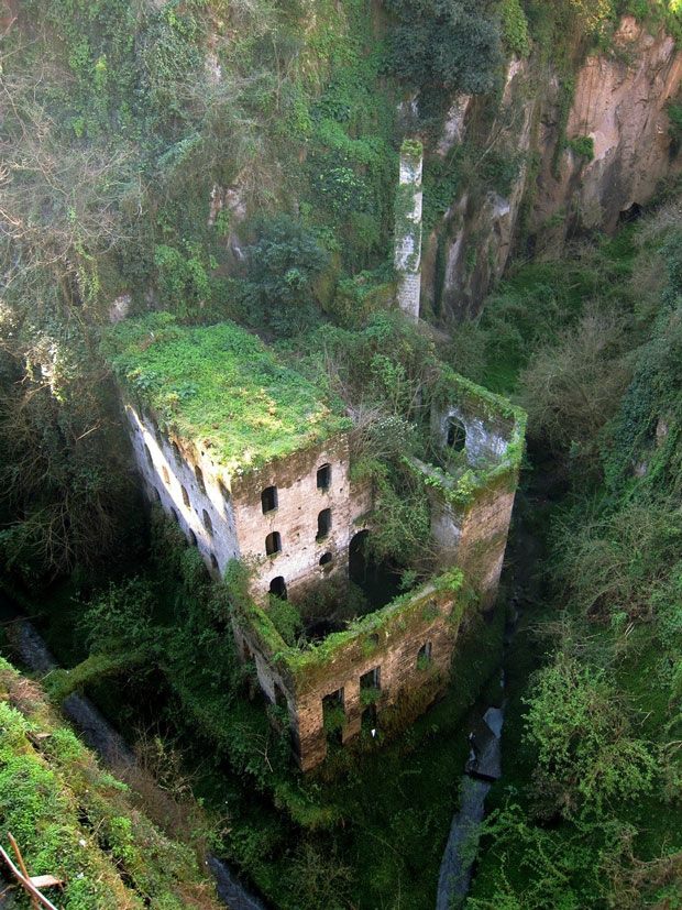 monde_biodi's tweet photo. Quand la nature reprend ses droits ... https://t.co/QHTPXHsSSi