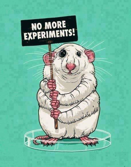 jesmichaels1's tweet photo. #NOVivisection
#NoAnimalExperiments
Animals are NOT ours to Abuse
They should have the Right 2 live free from harm https://t.co/fyrKfLlCYa