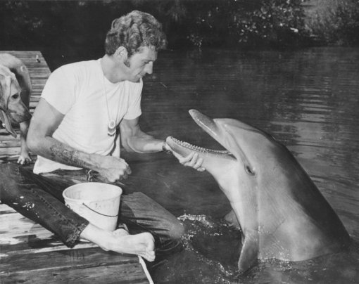 Dolphin_Project's tweet photo. Think much has changed for captive dolphins over the decades? Think again: https://t.co/MJfOUXToE4
#DolphinProject https://t.co/EyHXqnb74w