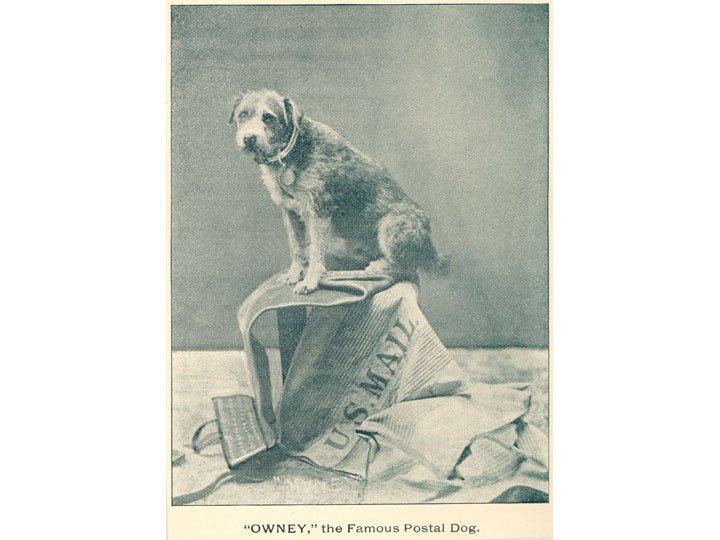 The <a href="/PostalMuseum/">Postal Museum</a> opens in just 3 minutes. Can't wait to see my #NationalDogDay visitors!