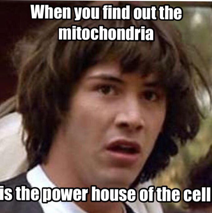 megachondria's tweet photo. Vote Mighty Mitochondria 2k16 #organellewars https://t.co/mFg1SzOPVx