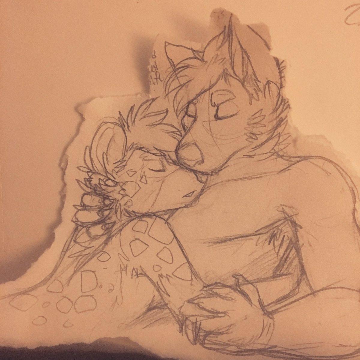 ALLYGAT0R tweet media