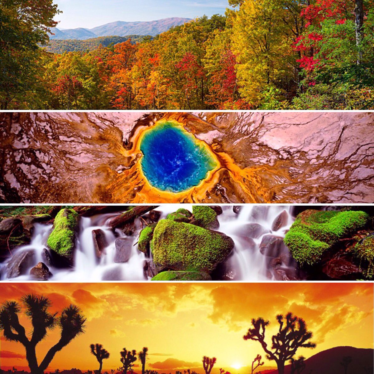 PanoramicImages's tweet photo. Celebrating 100 years of the National Parks! National Park Centennial. #NationalPark #photography https://t.co/qUhd2oFomZ