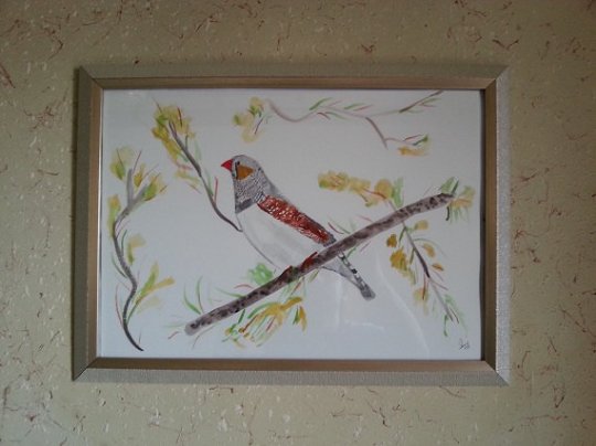sajartworks's tweet photo. #Finchzebra #Finch #Zebra #Originalwatercolorpainting, 11.6 X 16.5 in, #birdloverart #painting https://t.co/sTHRK0bbX6