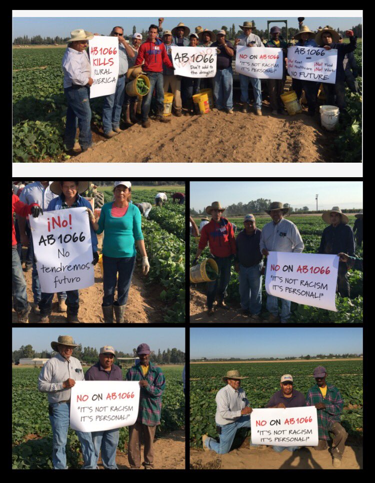 fcfb_ag's tweet image. Will Scott, Jr., Pres of African American Farmers of CA, says #NoOnAB1066 !
@NoOnAB1066  #keepmeworking #AB1066