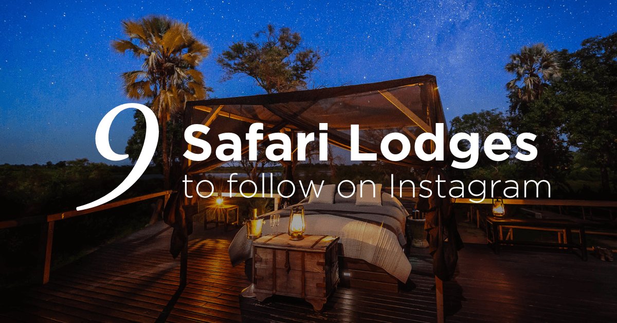 Timbuktu (@timbuktu_travel) on Twitter photo <a href="/RoyalMalewane/">RoyalMalewane</a> Congratulations to your beautiful Instagram buff.ly/2bS5Oqn #royalmalewane #safarilodge <a href="/RoyalMalewane/">RoyalMalewane</a> Congratulations to your beautiful Instagram buff.ly/2bS5Oqn #royalmalewane #safarilodge