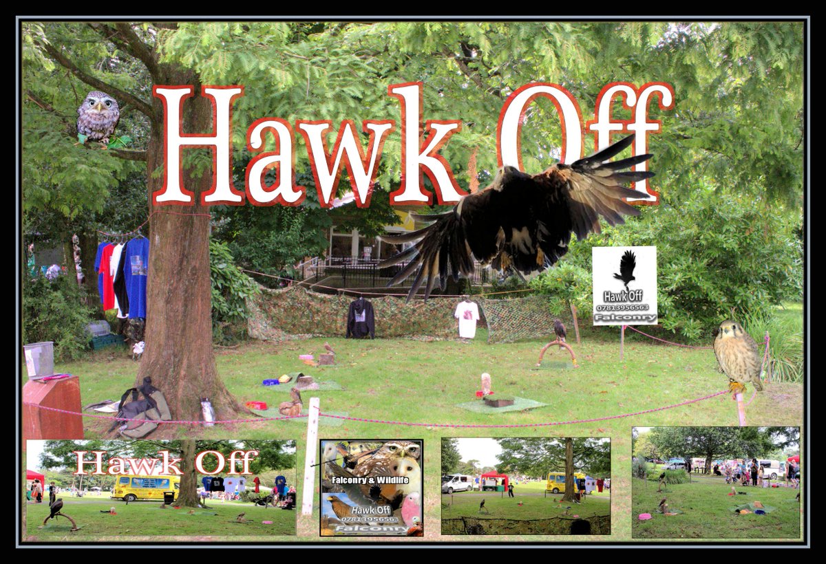 HawkOffWales's tweet photo. @HawkOffWales #HawkOff #ParkHoward @LlanelliHerald @LlanelliGuide The #Birds @Discovercarms #Falconry #FunDay #Photo https://t.co/zTY6236to6