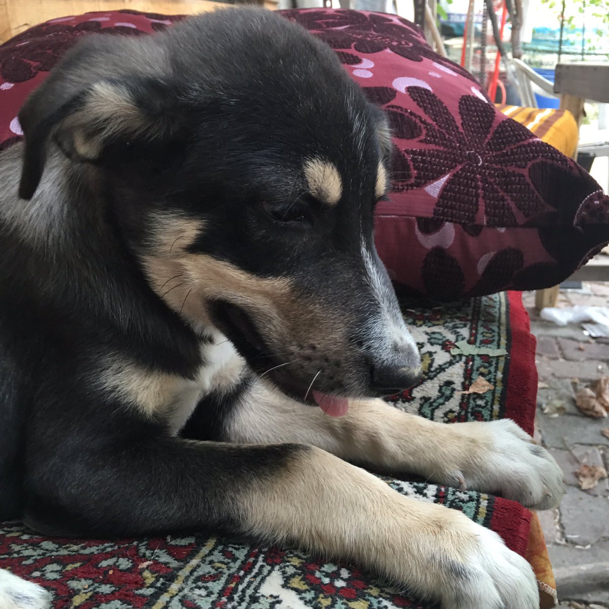 Hayatın sevda karşısında ne önemi var.

Eşkiya (1996)