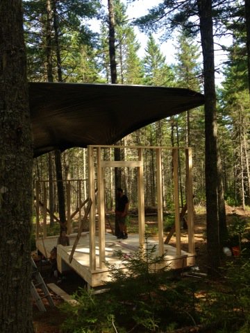 Framing the 'Nature' cabin <a href="/CanadaTrees/">Community Forests International</a>. Split-level on a slope, under a white pine grove. #carboncabin