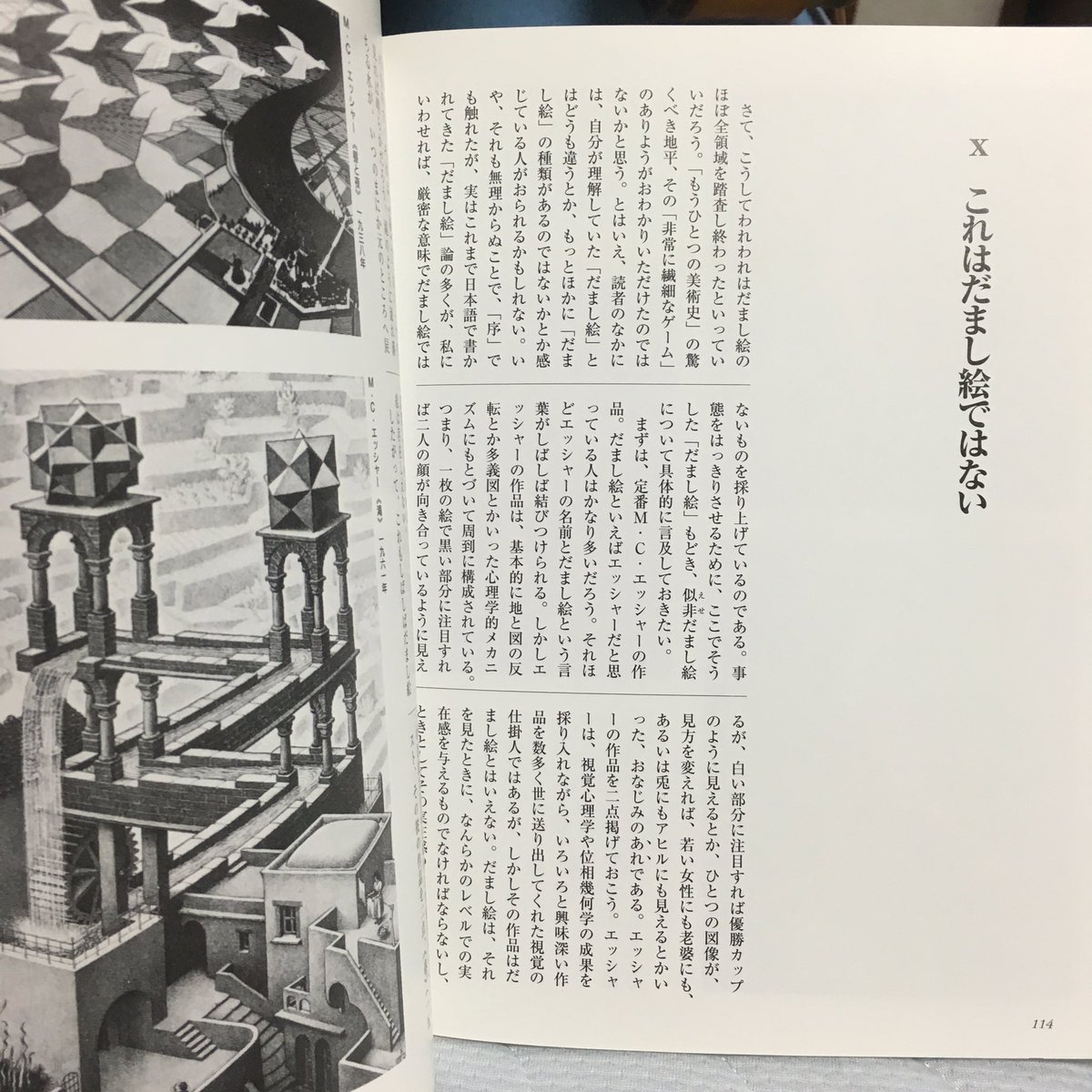 だまし絵の本読み終わりそうになってエッシャーが1つも載ってないから「なんでやねん」って思ってたら最後の章で本に注意されてワロタ 