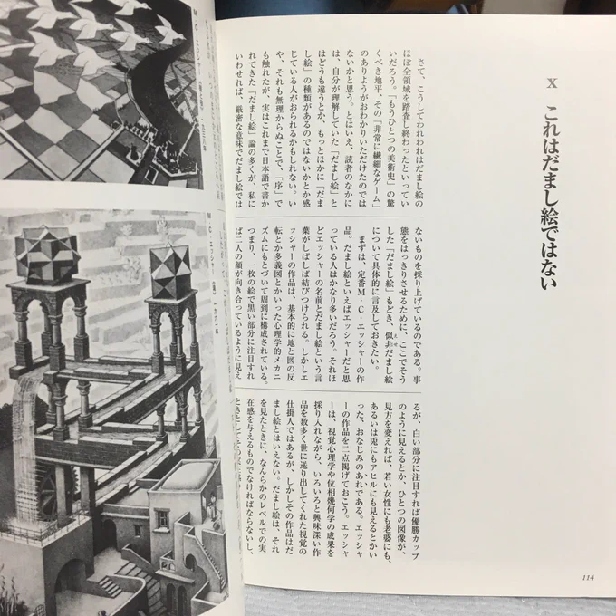 だまし絵の本読み終わりそうになってエッシャーが1つも載ってないから「なんでやねん」って思ってたら最後の章で本に注意されてワロタ 