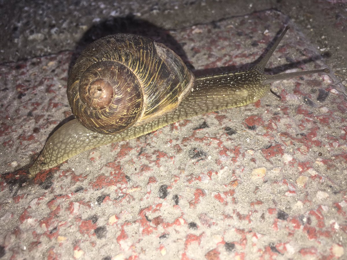 #Kaç km hızla dönen insanlar tanıdım yerler kaygan gardaşım...