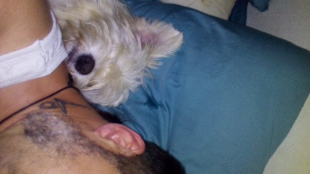 OrsatoDavide's tweet photo. She love me so much...... https://t.co/CI7ho2JAqP