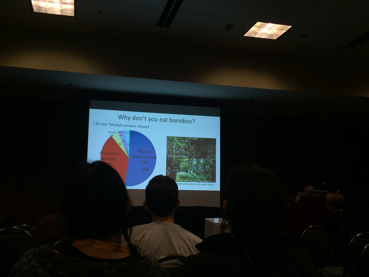 lugao's tweet photo. Wamba villagers don't eat #bonobos because of ancestral precept &amp; resemblance to humans #ipsasp16 @IPS_2016 https://t.co/ImG6PJnEb8