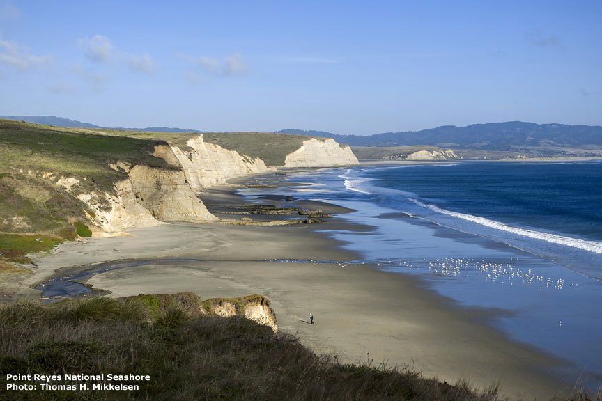 TheCACoast's tweet image. California's coastal National Parks are a gift to all of us. They're yours, mine, and ours. #NPS100 #Happy100th