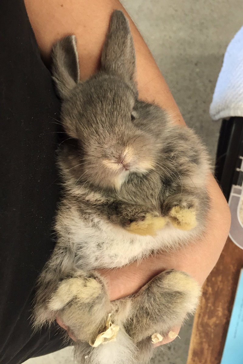 caseydaline's tweet image. A very good Thursday at work