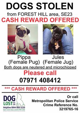 Pets Bureau tweet media