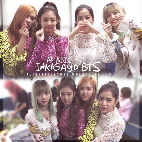 4BLACKPINKsubs's tweet photo. [مترجم عربي] بلاك بينك في كواليس انكيقايو ✨💘
YT: 
https://t.co/qrcIGEtNYb
GD:
https://t.co/hZIaqaBCu7 https://t.co/hJ4rhDYq7A