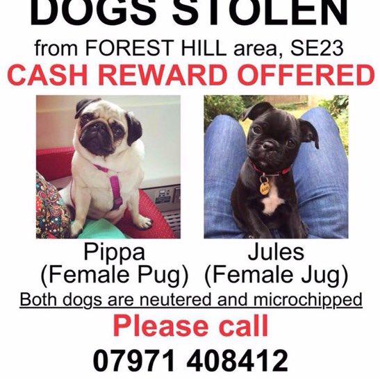 Missing Pets GB tweet media