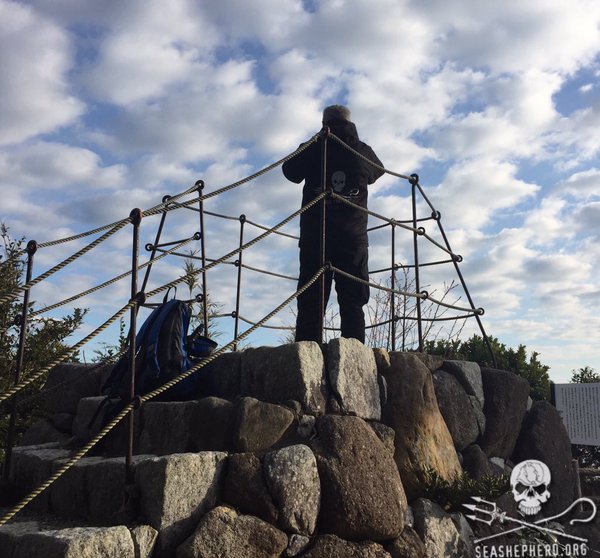 Foxewise tweet media