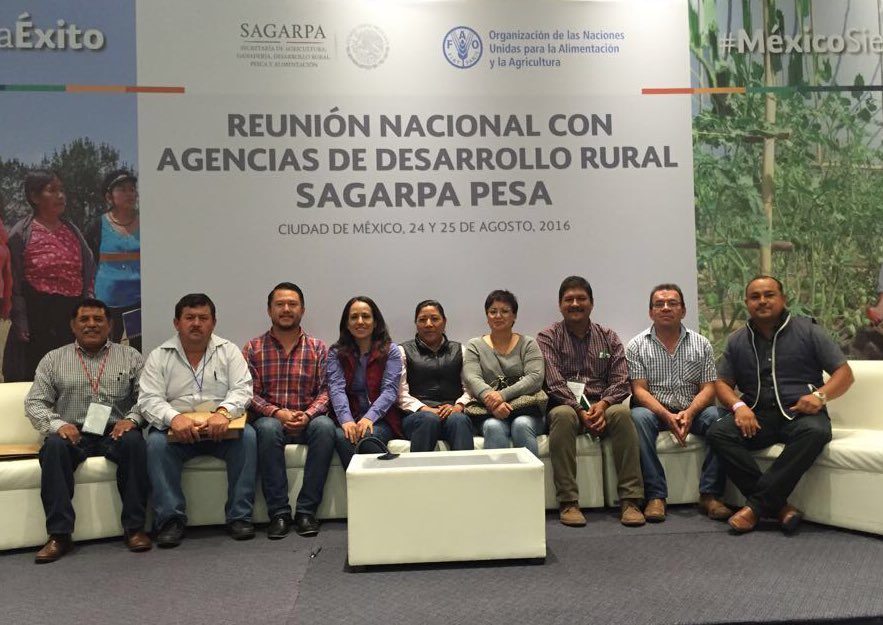 mahninimx's tweet photo. #Querétaro en la #ReuniónNacionaldeADRs Coordinadores #PESAQro, la Instancia Evaluadora y la delegación @sagarpa_qro https://t.co/lJ3Fbcehxy