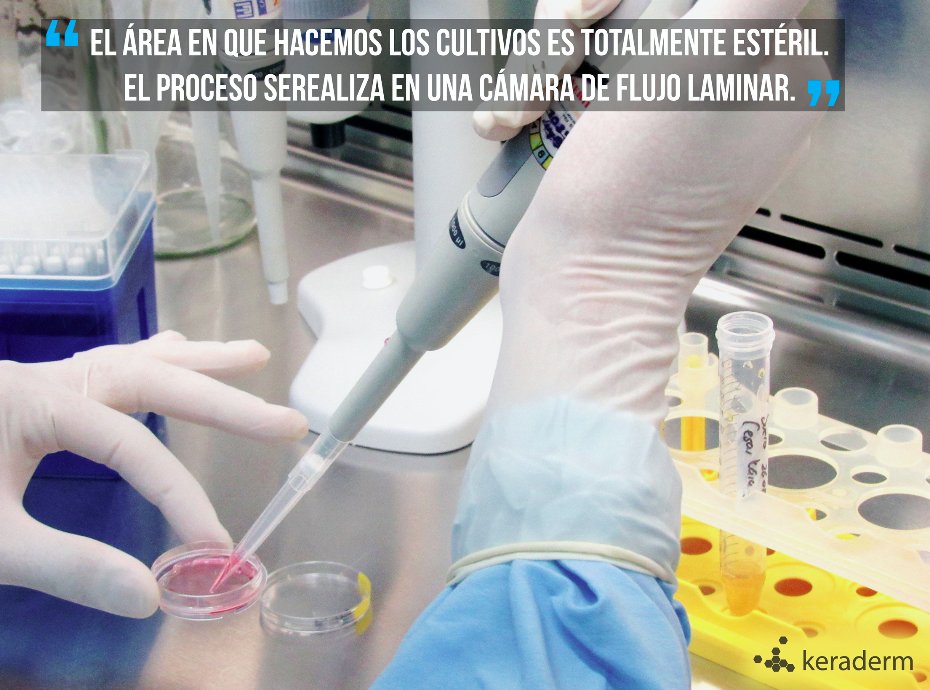 Keradermlab's tweet photo. Conoce nuestro Lab: https://t.co/xvHMI4znxY