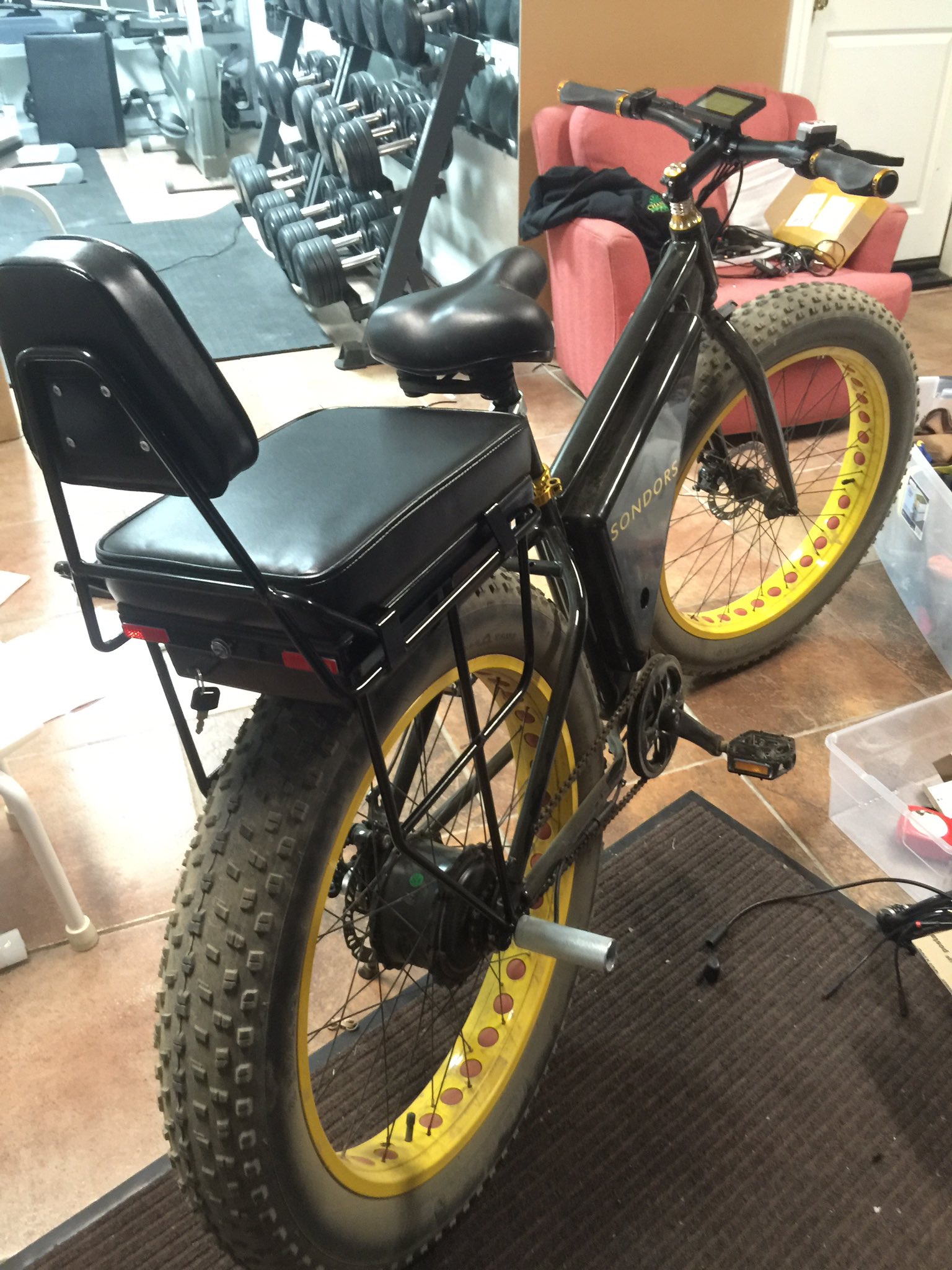 Companion Bike Seats CompanionSeats X