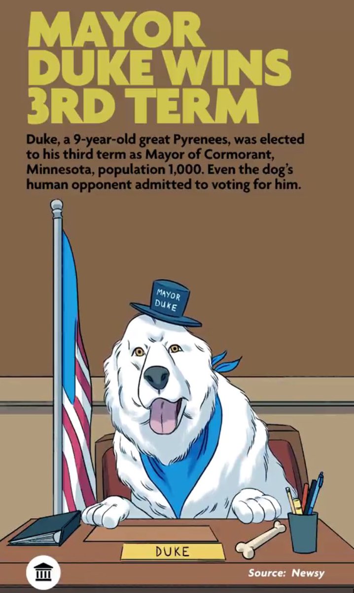 Just got word that @CormorantMayor was elected as Mayor of Cormorant again! That's THREE terms as Mayor! WOOF! 🐶