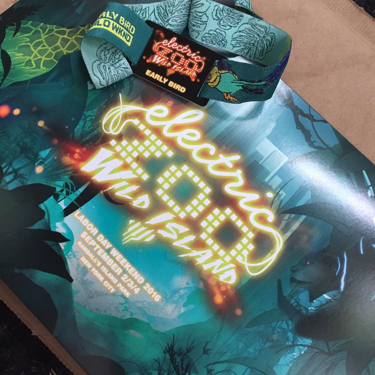 owlyholly's tweet photo. 2 @ElectricZooNY tickets up for sale 250 each 🐘💗so sad can't made it to the zoo !!!!! #ezoo #newyork #porter https://t.co/es7To2EIcx