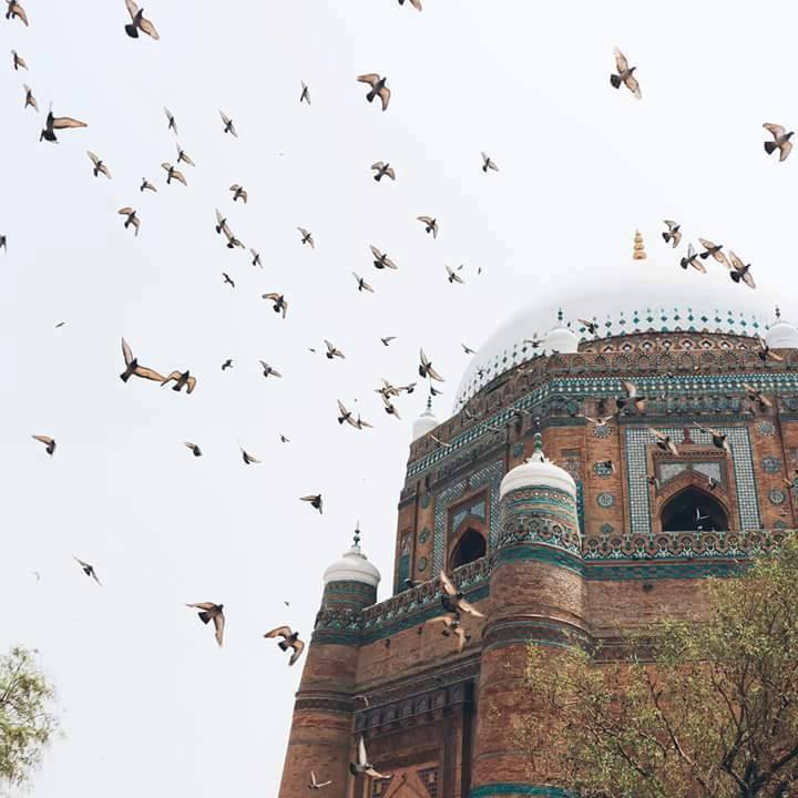 Muhand33's tweet image. إنَّما الدُّنيا فَنَاءٌ // كُلُّ من فيها يموتُ

.  علي بن أبي طالب