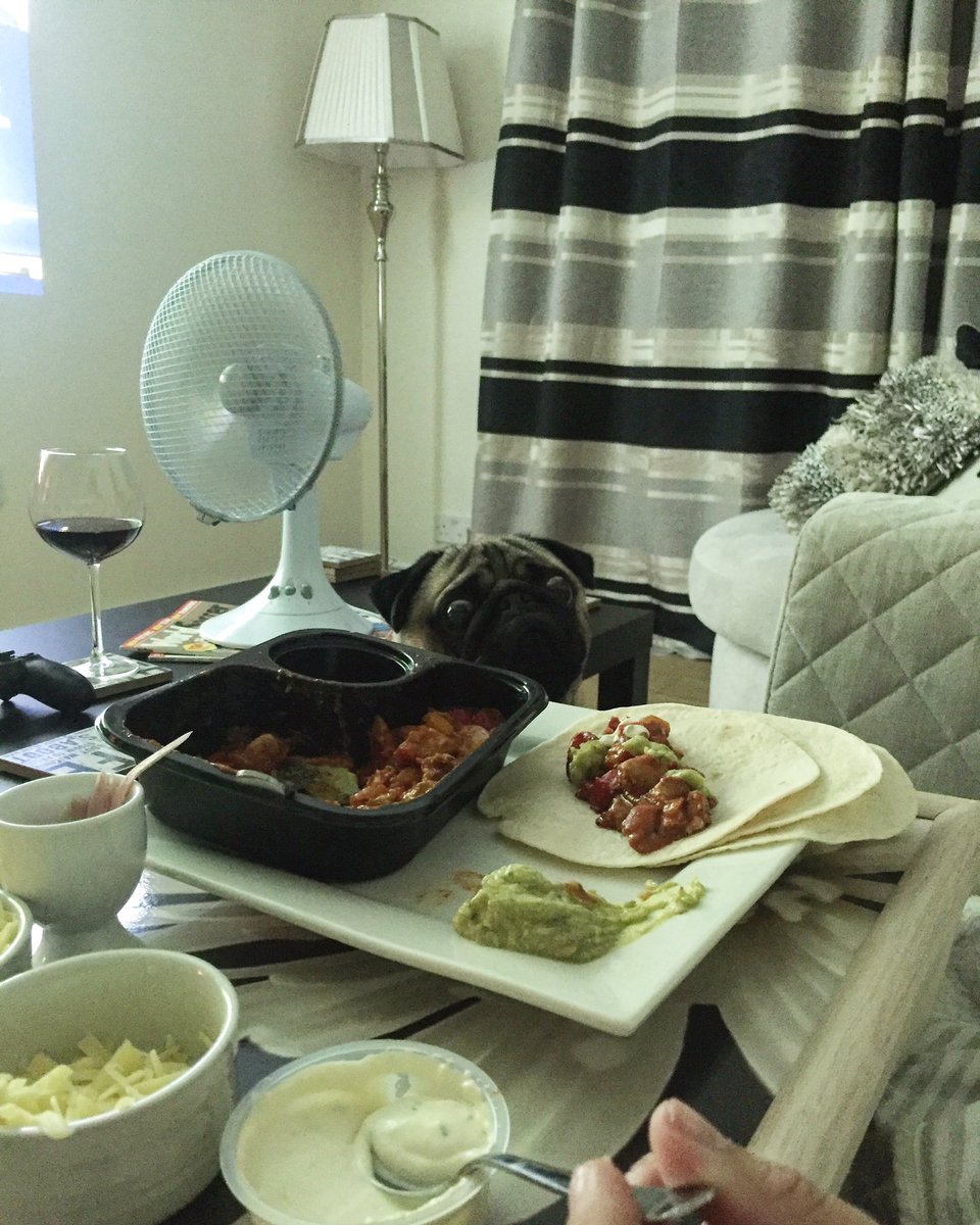 Harry_Hough's tweet photo. Would love some of mummy's fajitas right now @K4huf #pugs #puglife https://t.co/jVImv5El40