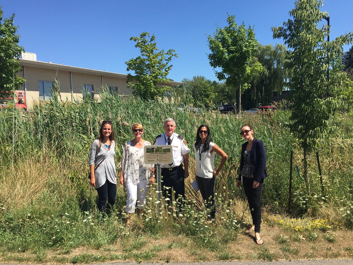MiLivingGreen's tweet photo. We've naturalized part of the Fire Station 106 property. Managing stormwater and increasing biodiversity! #PPC106 https://t.co/cfCElBnmmf