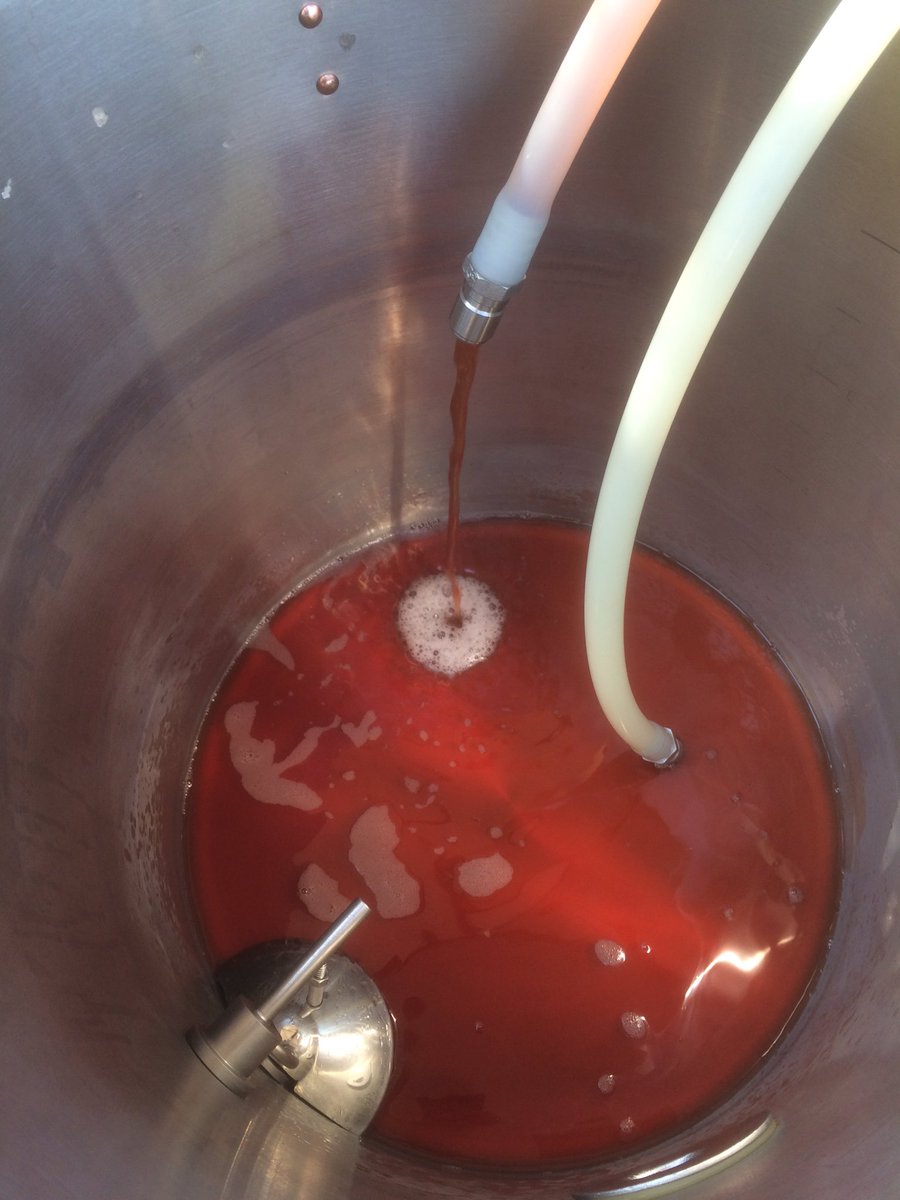 The Prickly Pear Ale has been born.